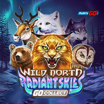 Wild North Radiant Skies Go Collect