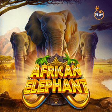 รวมเกมสล็อตทุกค่าย - African Elephant